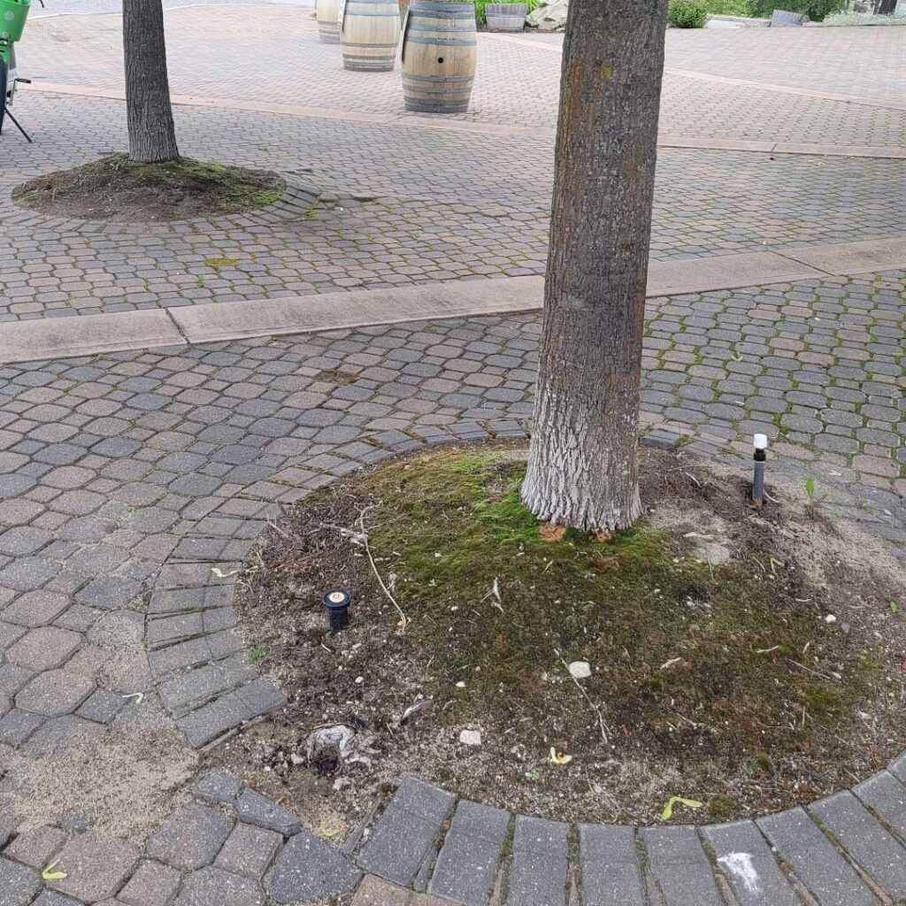 How to Keep Patio Pavers Kelowna Looking Fresh Year-Round