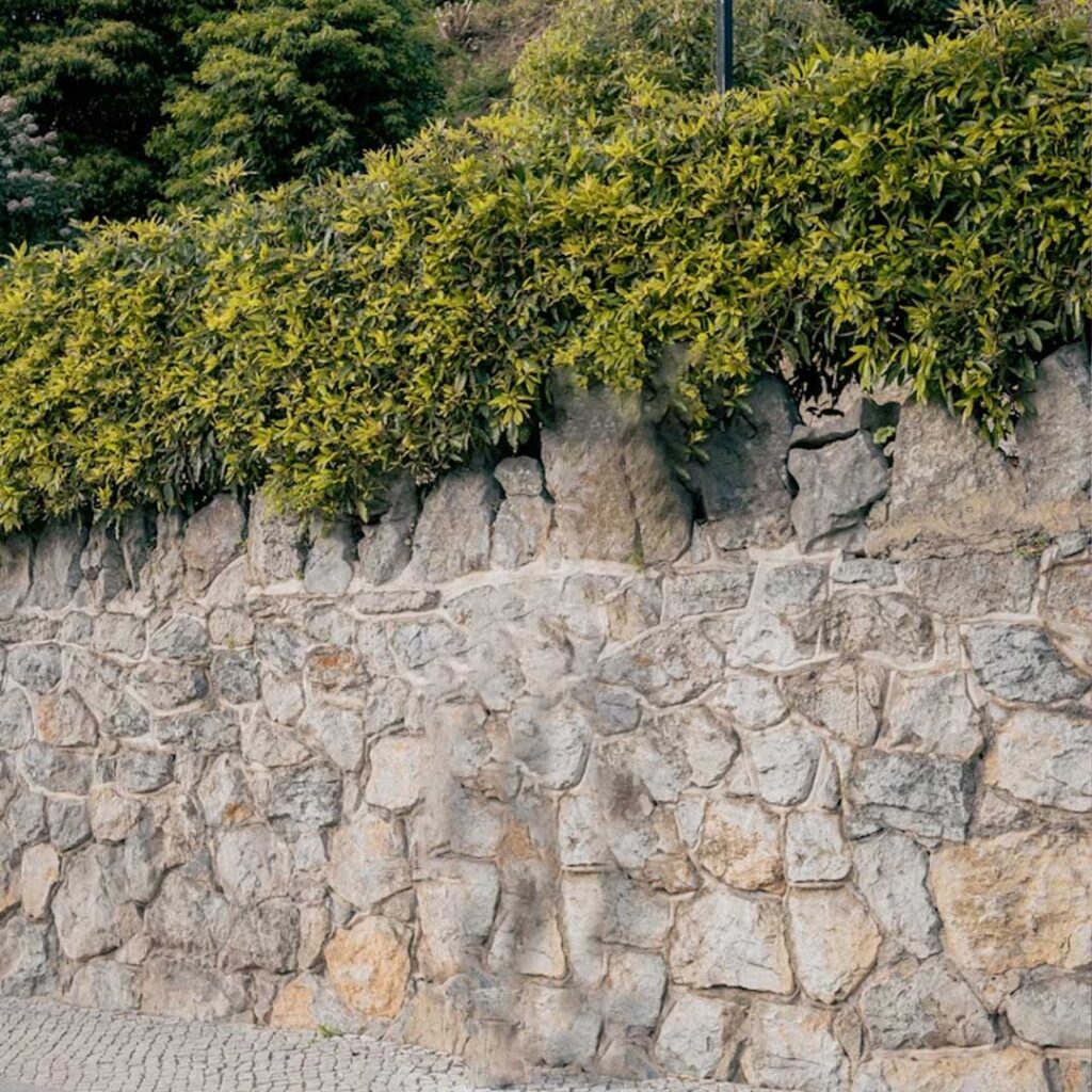 Block Wall Builders Near Me That Create Functional Retaining Solutions